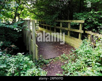 Passerelle en bois sur Thornton Beck sur le chemin de longue distance Nidderdale Way près de Shaw Mills Nidderdale North Yorkshire Angleterre Banque D'Images