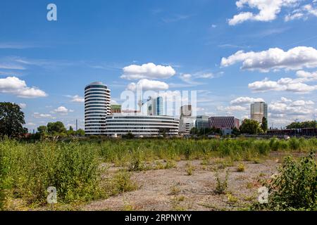 Blick auf den Medienhafen von der Seite des Industriehafens, Brachland im Vordergrund Banque D'Images