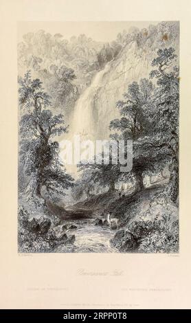 Vue de Powerscourt Waterfall sur la rivière Dargle, comté de Wicklow, Irlande. Gravure sur acier du paysage et des antiquités de l'Irlande par Bartlett, W. H. (William Henry), 1809-1854, Illustrator.Volume 2. Éditeur Londres : George Virtue 1842 William Henry Bartlett (26 mars 1809 – 13 septembre 1854) était un artiste britannique, surtout connu pour ses nombreux dessins rendus en gravures sur acier. Banque D'Images