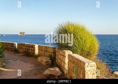 Petrovac na moru, Monténégro. 08 août 2023. Falaises ensoleillées, couvertes de branches d'arbres à feuilles persistantes, à Petrovac na Moru, Monténégro. Banque D'Images