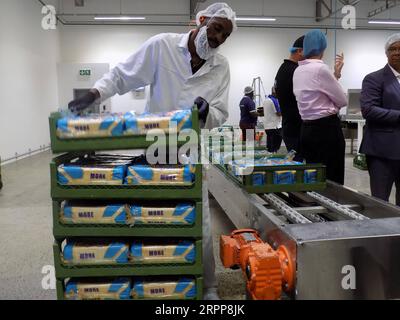 200313 -- WINDHOEK, le 13 mars 2020 -- un travailleur transporte du pain emballé dans une usine de fabrication de pain à Windhoek, en Namibie, le 12 mars 2020. Le ministre namibien de l industrialisation, du Commerce et du développement des PME, Tjekero Tweya, a inauguré jeudi la toute première usine de fabrication de pain ultramoderne du pays, évaluée à environ 135 millions de dollars namibiens, soit environ 8,4 millions de dollars américains. Le système de l'usine fonctionne comme une bande transporteuse tout au long du processus de mélange, de fermentation, de cuisson et d'emballage. Photo de /Xinhua NAMIBIA-WINDHOEK-BREAD-FACTORY MusaxCxKaseke PUBLICATIONxNOTxINxCHN Banque D'Images