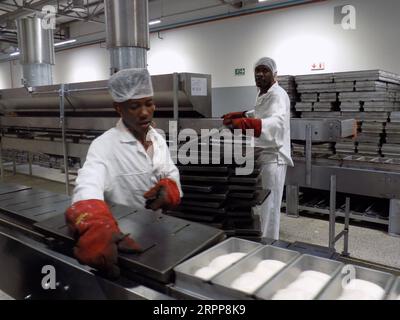 200313 -- WINDHOEK, le 13 mars 2020 -- des gens travaillent dans une usine de fabrication de pain à Windhoek, Namibie, le 12 mars 2020. Le ministre namibien de l industrialisation, du Commerce et du développement des PME, Tjekero Tweya, a inauguré jeudi la toute première usine de fabrication de pain ultramoderne du pays, évaluée à environ 135 millions de dollars namibiens, soit environ 8,4 millions de dollars américains. Le système de l'usine fonctionne comme une bande transporteuse tout au long du processus de mélange, de fermentation, de cuisson et d'emballage. Photo de /Xinhua NAMIBIA-WINDHOEK-BREAD-FACTORY MusaxCxKaseke PUBLICATIONxNOTxINxCHN Banque D'Images