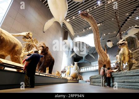 200313 -- SHANGHAI, le 13 mars 2020 -- les gens visitent le Musée d'histoire naturelle de Shanghai dans l'est de la Chine, Shanghai, le 13 mars 2020. Le Musée d’histoire naturelle de Shanghai a rouvert au public à partir de vendredi avec des mesures prises pour prévenir la propagation du nouveau coronavirus. CHINE-SHANGHAI-MUSÉE-ROUVRIR CN FangxZhe PUBLICATIONxNOTxINxCHN Banque D'Images