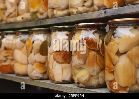 Champignons en conserve faits maison dans des bocaux Banque D'Images