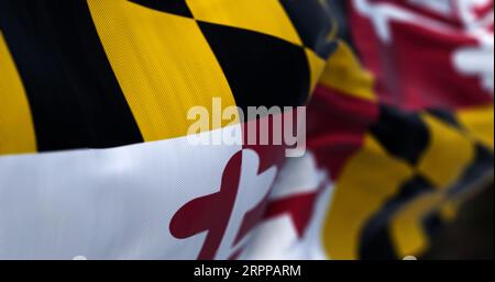 Gros plan du drapeau de l'État du Maryland brandissant. Quatre quadrants aux couleurs des familles Calvert et Crossland. rendu d'illustration 3d. Mise au point sélective. Banque D'Images