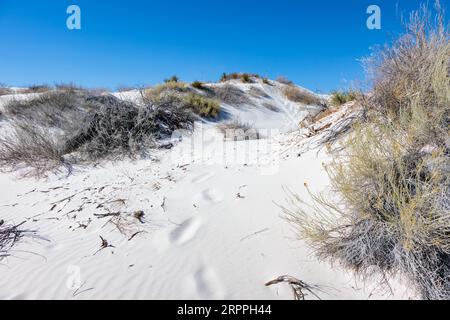 Champs de dunes de gypse au monument national de White Sands situé dans le désert de Chihuahuan et le bassin de Tularosa près d'Alamogordo, Nouveau-Mexique, États-Unis Banque D'Images