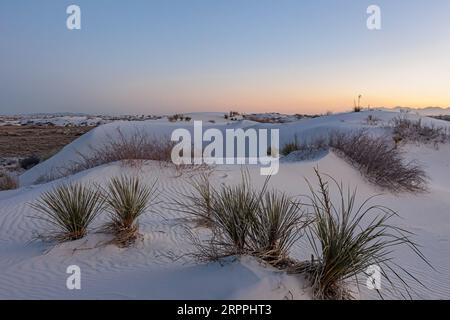 Champs de dunes de gypse au monument national de White Sands situé dans le désert de Chihuahuan et le bassin de Tularosa près d'Alamogordo, Nouveau-Mexique, États-Unis Banque D'Images