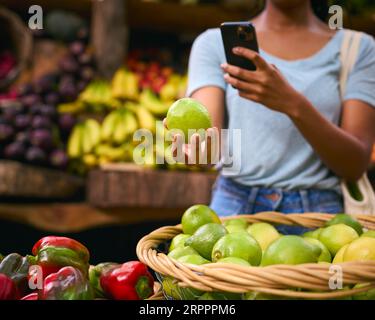 Gros plan d'une cliente au Market Stall prenant des photos de citrons frais et de limes sur téléphone portable Banque D'Images