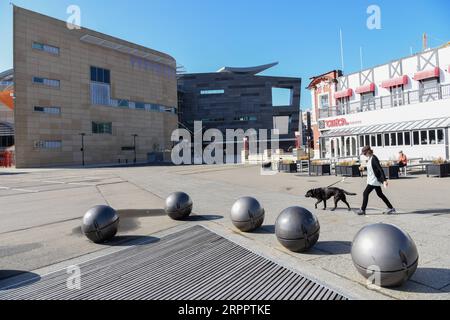 200322 -- WELLINGTON, le 22 mars 2020 -- Une femme marche dans une rue vide avec son chien à Wellington, en Nouvelle-Zélande, le 22 mars 2020. La Nouvelle-Zélande a signalé dimanche 14 nouveaux cas de COVID-19, portant le nombre total de cas confirmés à 66. Le pays est au niveau d’alerte COVID-19 deux. NOUVELLE-ZÉLANDE-WELLINGTON-ALERT SYSTEM-LEVEL DEUX GUOXLEI PUBLICATIONXNOTXINXCHN Banque D'Images