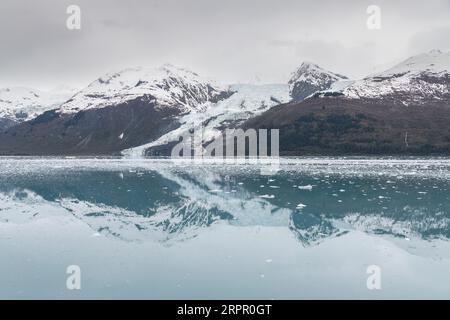 Un petit glacier Tidal reflété dans les eaux calmes du College Fjord, Prince William Sound, Alaska, États-Unis Banque D'Images