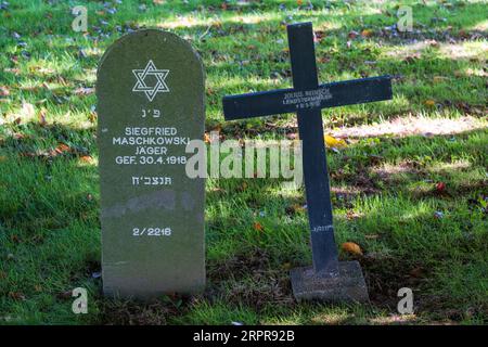 Pierre tombale d'un soldat juif allemand à côté de la croix d'un soldat non juif allemand, cimetière militaire de Vermandovillers, somme France Banque D'Images