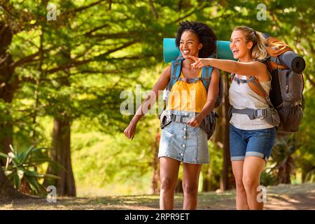 Deux amies féminines avec des sacs à dos sur la randonnée de vacances à travers la campagne ensemble Banque D'Images