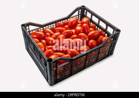 Tomates prune, San Marzano ou Roma dans une boîte noire isolée sur blanc avec chemin de détourage inclus Banque D'Images