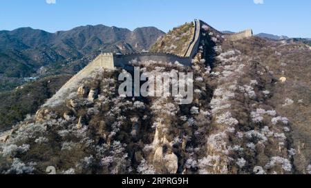 200403 -- PÉKIN, le 3 avril 2020 -- une photo aérienne prise le 3 avril 2020 montre la Grande Muraille de Shuiguan au milieu de fleurs à Pékin, capitale de la Chine. CHINE-PÉKIN-GRAND MUR-RESSORT PAYSAGE CN JUXHUANZONG PUBLICATIONXNOTXINXCHN Banque D'Images