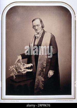 Sir Richard Owen, 1804 – 1892, était un biologiste anglais, anatomiste comparé et paléontologue, photographie de Maull & Polyblank 1856 Banque D'Images