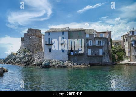 Corse, Erbalunga, maisons typiques dans le port en été Banque D'Images