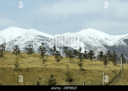 200407 -- TIANZHU, 7 avril 2020 -- une photo prise le 7 avril 2020 montre le paysage de neige des montagnes Qilian dans le comté autonome tibétain de Tianzhu, province du Gansu, au nord-ouest de la Chine. CHINA-GANSU-SNOW SCENERY CN FanxPeishen PUBLICATIONxNOTxINxCHN Banque D'Images