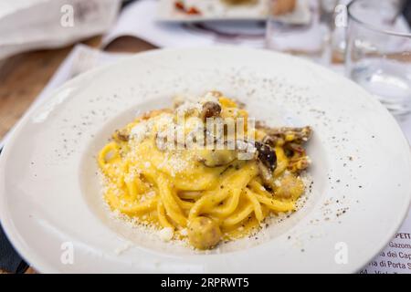 Pâtes maison italiennes maison à base de fettucine jaune frais avec truffes et tomates séchées au soleil et sauce à la crème alfredo Banque D'Images