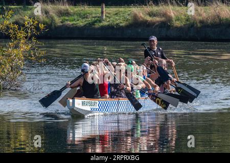 Wraysbury Dragons, entraînement de l'équipe de course de bateaux-dragons sur la Tamise à Runnymede, Surrey, Angleterre, Royaume-Uni Banque D'Images