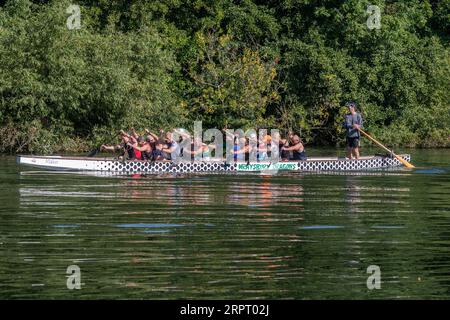 Wraysbury Dragons, entraînement de l'équipe de course de bateaux-dragons sur la Tamise à Runnymede, Surrey, Angleterre, Royaume-Uni Banque D'Images