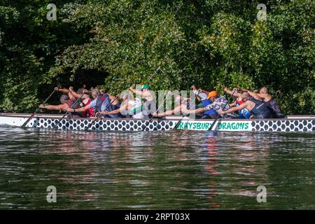 Wraysbury Dragons, entraînement de l'équipe de course de bateaux-dragons sur la Tamise à Runnymede, Surrey, Angleterre, Royaume-Uni Banque D'Images