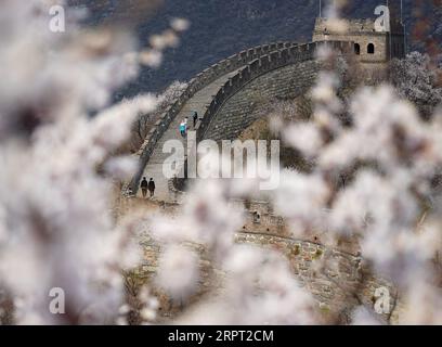 200410 -- PÉKIN, le 10 avril 2020 -- une photo prise le 10 avril 2020 montre le paysage printanier de la Grande Muraille de Mutianyu à Pékin, capitale de la Chine. CHINE-PÉKIN-GRAND MUR-DÉCOR CN ZHANGXCHENLIN PUBLICATIONXNOTXINXCHN Banque D'Images