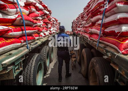 Coronavirus au Sénégal, Präsident Macky Sall startet Hilfslieferungen 200412 -- DAKAR, le 12 avril 2020 Xinhua -- Un gendarme et son chien de recherche vérifient les véhicules transportant de la nourriture pour les familles touchées par le COVID-19 au port autonome de Dakar, Sénégal, le 11 avril 2020. Le président sénégalais Macky Sall a lancé samedi une opération de livraison de vivres dans les régions du port autonome de Dakar dans le cadre de l’assistance aux ménages touchés par le COVID-19. Sall a lancé le programme d'aide alimentaire d'urgence avec un budget de 69 milliards de francs CFA environ 114 millions de dollars américains, qui est tiré de la réponse Banque D'Images