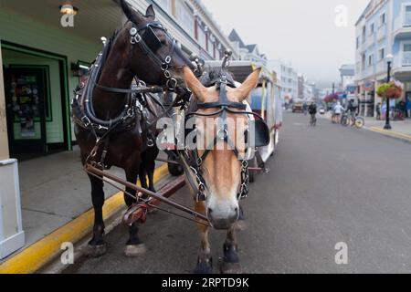 Mackinac Island le 22 août 2023 dans le Michigan Banque D'Images