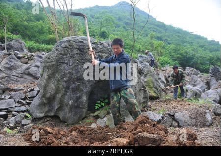 200416 -- RONGAN, le 16 avril 2020 -- le front de long Gexiong et les villageois plantent des arbres dans le village de Tongbantun, dans le canton de Dongqi, dans le comté de Rongan, dans la région autonome de Guangxi Zhuang, dans le sud de la Chine, le 15 mai 2013. Long Gexiong, 52 ans, a quitté sa ville natale à 24 ans et est allé à la recherche d'emplois dans la ville de Liuzhou, dans la région autonome de Guangxi Zhuang, dans le sud de la Chine. Après deux décennies de travail à l'extérieur, il est enfin retourné dans son village natal dans les montagnes profondes. Longtemps abandonné l'école en 1986 en raison de la pauvreté et a gagné sa vie en plantant des pruniers. Toutefois, les collines arides et la pénurie d'eau ont entraîné de mauvaises récoltes Banque D'Images