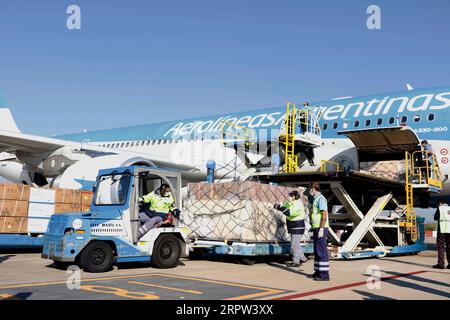 200421 -- BUENOS AIRES, le 21 avril 2020 Xinhua -- des membres du personnel déchargent des fournitures médicales à partir d'un avion charter à l'aéroport international Ezeiza de Buenos Aires, Argentine, le 20 avril 2020. L'Argentine a reçu une expédition de 14 tonnes de fournitures médicales en provenance de Chine pour aider à lutter contre la nouvelle pandémie de coronavirus, a annoncé lundi le bureau du président de la nation. Ministère des Transports de l'Argentine/document via Xinhua ARGENTINA-BUENOS AIRES-COVID-19-FOURNITURES MÉDICALES PUBLICATIONxNOTxINxCHN Banque D'Images