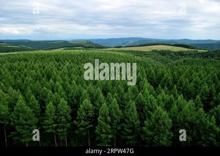 200421 -- PÉKIN, le 21 avril 2020 -- une photo prise le 28 juillet 2018 montre le paysage du parc forestier national de Saihanba à Chengde, dans la province du Hebei du nord de la Chine. Photo par /Xinhua Xinhua titres : poursuivant le développement vert, la Chine s'efforce de protéger la Terre ChenxXiaodong PUBLICATIONxNOTxINxCHN Banque D'Images