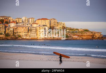 200428 -- SYDNEY, le 28 avril 2020 -- Un surfeur marche à Bondi Beach à Sydney, Australie, le 28 avril 2020. Des centaines d’Aussies ont afflué à l’eau mardi alors que l’emblématique plage de Bondi a rouvert pour les surfeurs et les nageurs après avoir été fermée en raison du COVID-19. AUSTRALIE-SYDNEY-COVID-19-PLAGE BaixXuefei PUBLICATIONxNOTxINxCHN Banque D'Images