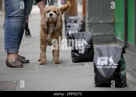 200518 -- LONDRES, le 18 mai 2020 Xinhua -- des gens font la queue devant un café à Londres, en Grande-Bretagne, le 17 mai 2020. Certains restaurants, cafés et autres magasins de restauration en Grande-Bretagne ont progressivement repris leurs activités avec des mesures préventives telles que le maintien de la distanciation sociale après que le gouvernement britannique ait publié une stratégie d’assouplissement progressif du nouveau confinement du coronavirus. Photo de Tim Ireland/Xinhua BRITAIN-LONDRES-COVID-19-RESTAURANT-ROPENING PUBLICATIONxNOTxINxCHN Banque D'Images