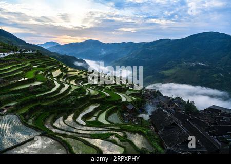 200531 -- PÉKIN, 31 mai 2020 -- une photo prise le 27 mai 2020 montre des champs en terrasses dans une lueur matinale dans le canton de Jiabang, comté de Congjiang dans la province du Guizhou du sud-ouest de la Chine. PHOTOS XINHUA DU JOUR YangxWenbin PUBLICATIONxNOTxINxCHN Banque D'Images