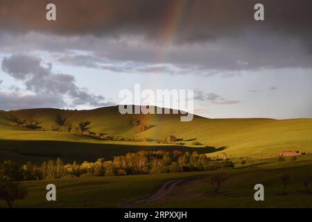 200605 -- PÉKIN, le 5 juin 2020 -- une photo montre un arc-en-ciel au-dessus de la prairie d'AR Horqin à Chifeng, dans la région autonome de Mongolie intérieure du nord de la Chine, le 3 juin 2020. PHOTOS XINHUA DU JOUR LiuxLei PUBLICATIONxNOTxINxCHN Banque D'Images