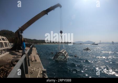 200608 -- HAIKOU, le 8 juin 2020 Xinhua -- des membres du personnel ont posé des abris pour poissons dans la zone maritime de l'île Wuzhizhou à Sanya, dans la province de Hainan du sud de la Chine, le 21 janvier 2016. Le ranch marin dans la zone maritime de l'île de Wuzhizhou à Sanya est le premier ranch marin tropical de Chine. Ces dernières années, le ranch marin a successivement procédé à la pose de récifs artificiels, à la restauration de l’environnement marin et à la transplantation de coraux, favorisant progressivement la protection et la restauration de l’écosystème marin. À la fin de 2019, un total de 1 526 récifs artificiels de pêche de divers types, 21 récifs de navires et un lot de vol Banque D'Images