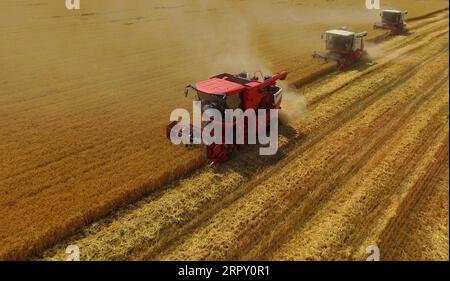 200609 -- PÉKIN, le 9 juin 2020 -- une photo aérienne prise le 8 juin 2020 montre des machines agricoles récoltant du blé dans le village de Yanli, dans le comté de Nanhe, dans la province du Hebei, au nord de la Chine. PHOTOS XINHUA DU JOUR ZhuxXudong PUBLICATIONxNOTxINxCHN Banque D'Images