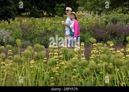 200614 -- LONDRES, le 14 juin 2020 Xinhua -- les gens apprécient les fleurs à Kew Gardens à Londres, en Grande-Bretagne, le 14 juin 2020. Les Kew Gardens, un site du patrimoine mondial de l’UNESCO à Londres, ont rouvert au public récemment après avoir été fermés en raison de la pandémie de COVID-19, mais les directives de distanciation sociale sont toujours en place et le nombre de visiteurs est limité avec l’entrée uniquement par des billets pré-réservés. Photo de Tim Ireland/Xinhua BRITAIN-LONDRES-COVID-19-KEW GARDENS-ROUVRIR PUBLICATIONxNOTxINxCHN Banque D'Images