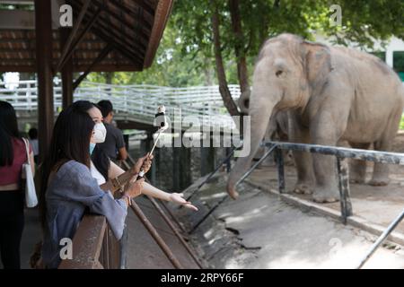 200616 -- BANGKOK, le 16 juin 2020 -- les visiteurs prennent des photos d'un éléphant au zoo ouvert de Khao Kheow dans la province de Chonburi en Thaïlande, le 16 juin 2020. Six zoos en Thaïlande rouvriront gratuitement aux visiteurs du 15 au 30 juin. THAÏLANDE-COVID-19-ZOO DE ZhangxKeren PUBLICATIONxNOTxINxCHN ROUVERT Banque D'Images