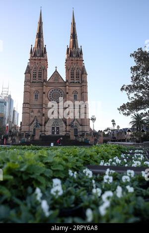 200616 -- SYDNEY, le 16 juin 2020 -- Un homme passe devant la cathédrale St Mary à Sydney, Australie, le 16 juin 2020. L assouplissement généralisé des restrictions liées à la COVID-19 en Australie est resté sur la bonne voie malgré une douzaine de nouveaux cas confirmés, les dirigeants des États étant convaincus que des mesures de distanciation plus douces seront suffisantes. AUSTRALIE-SYDNEY-COVID-19-ASSOUPLISSEMENT DES RESTRICTIONS BaixXuefei PUBLICATIONxNOTxINxCHN Banque D'Images