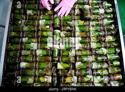 200624 -- LUOYANG, 24 juin 2020 -- un membre du personnel organise le Zongzi, un aliment traditionnel chinois à base de riz gluant généralement enveloppé dans des feuilles de bambou à l occasion du festival des bateaux-dragons, dans un atelier d une entreprise alimentaire dans le village de Beicun du comté de Luoning à Luoyang, dans la province du Henan au centre de la Chine, le 23 juin 2020. Ces dernières années, en s’appuyant sur ses riches ressources en bambou, Luoning a développé sa propre variété de Zongzi et des activités connexes pour aider les villageois à se débarrasser de la pauvreté. CHINA-HENAN-LUOYANG-ZONGZI FAISANT CN HAOXYUAN PUBLICATIONXNOTXINXCHN Banque D'Images