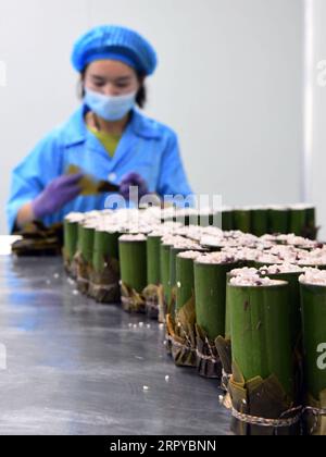 200624 -- LUOYANG, 24 juin 2020 -- un membre du personnel fabrique du Zongzi, un aliment traditionnel chinois à base de riz gluant généralement enveloppé dans des feuilles de bambou à l occasion du festival des bateaux-dragons, dans un atelier d une entreprise alimentaire du village de Beicun, dans le comté de Luoyang, dans la province du Henan du centre de la Chine, le 23 juin 2020. Ces dernières années, en s’appuyant sur ses riches ressources en bambou, Luoning a développé sa propre variété de Zongzi et des activités connexes pour aider les villageois à se débarrasser de la pauvreté. CHINA-HENAN-LUOYANG-ZONGZI FAISANT CN HAOXYUAN PUBLICATIONXNOTXINXCHN Banque D'Images