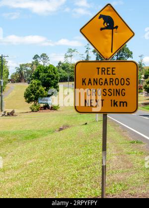 Tree Kangaroo Crossing, panneau routier, Malanda, Australie. Banque D'Images