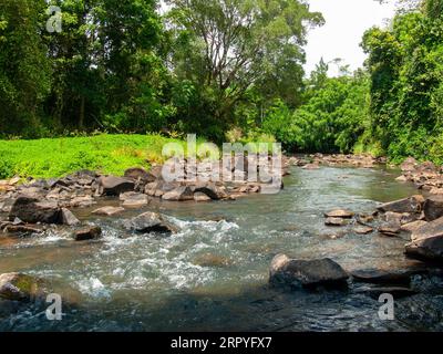 North Johnstone River, coulant sur des roches volcaniques, Malanda, Australie. Banque D'Images