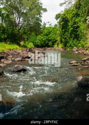 North Johnstone River, coulant sur des roches volcaniques, Malanda, Australie. Banque D'Images