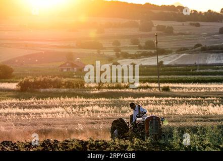 200701 -- PÉKIN, le 1 juillet 2020 -- Un agriculteur laboure un champ dans un village près de Kumanovo, en Macédoine du Nord, le 29 juin 2020. Une canicule a frappé la Macédoine du Nord lundi et la température a atteint 38 degrés Celsius. Photo de /Xinhua XINHUA PHOTOS DU JOUR TomislavxGeorgiev PUBLICATIONxNOTxINxCHN Banque D'Images