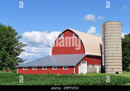 Maple Park, Illinois, États-Unis. Une grange rouge bien entretenue, bien rangée, assise au-delà d'un champ de soja mûrissant par un après-midi d'été lumineux. Banque D'Images