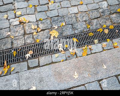 grille métallique du système de drainage sur le trottoir piéton avec des feuilles jaunes d'automne. Banque D'Images