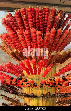 Snacks traditionnels chinois gourde glace-sucre, gros plan de la photo Banque D'Images