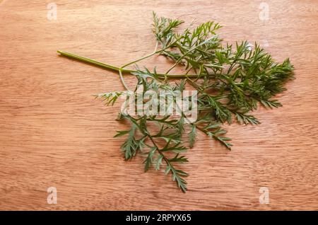 Escalader des asperges sur Une surface de planche Banque D'Images